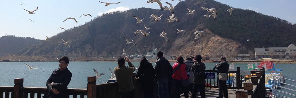 Seagulls at the Tiger Beach water park in Dalian