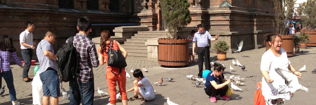 Pigeons outside St. Sophia Cathedral in Harbin